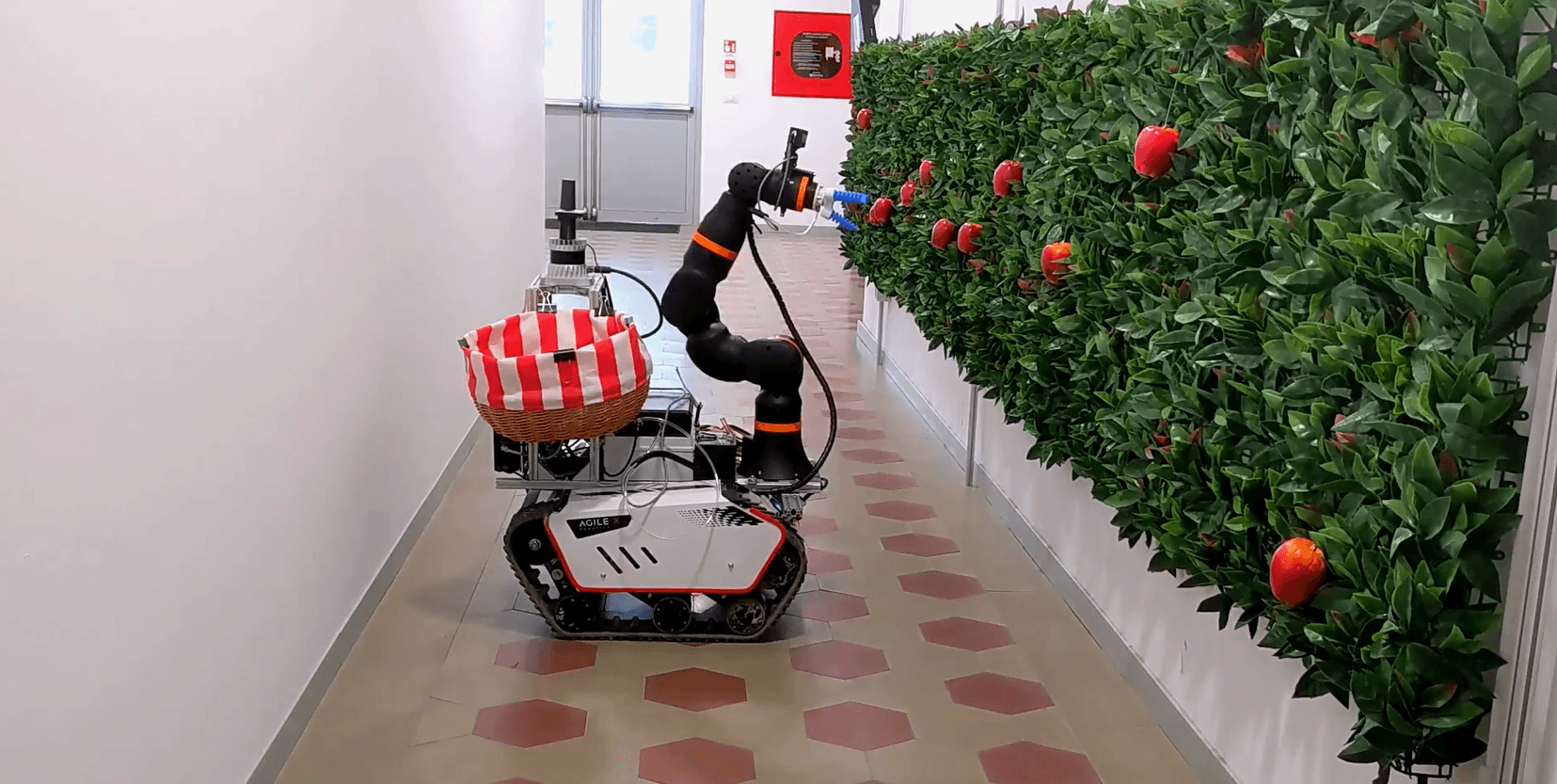 Autonome Apfelernte mit Rebel-Roboter