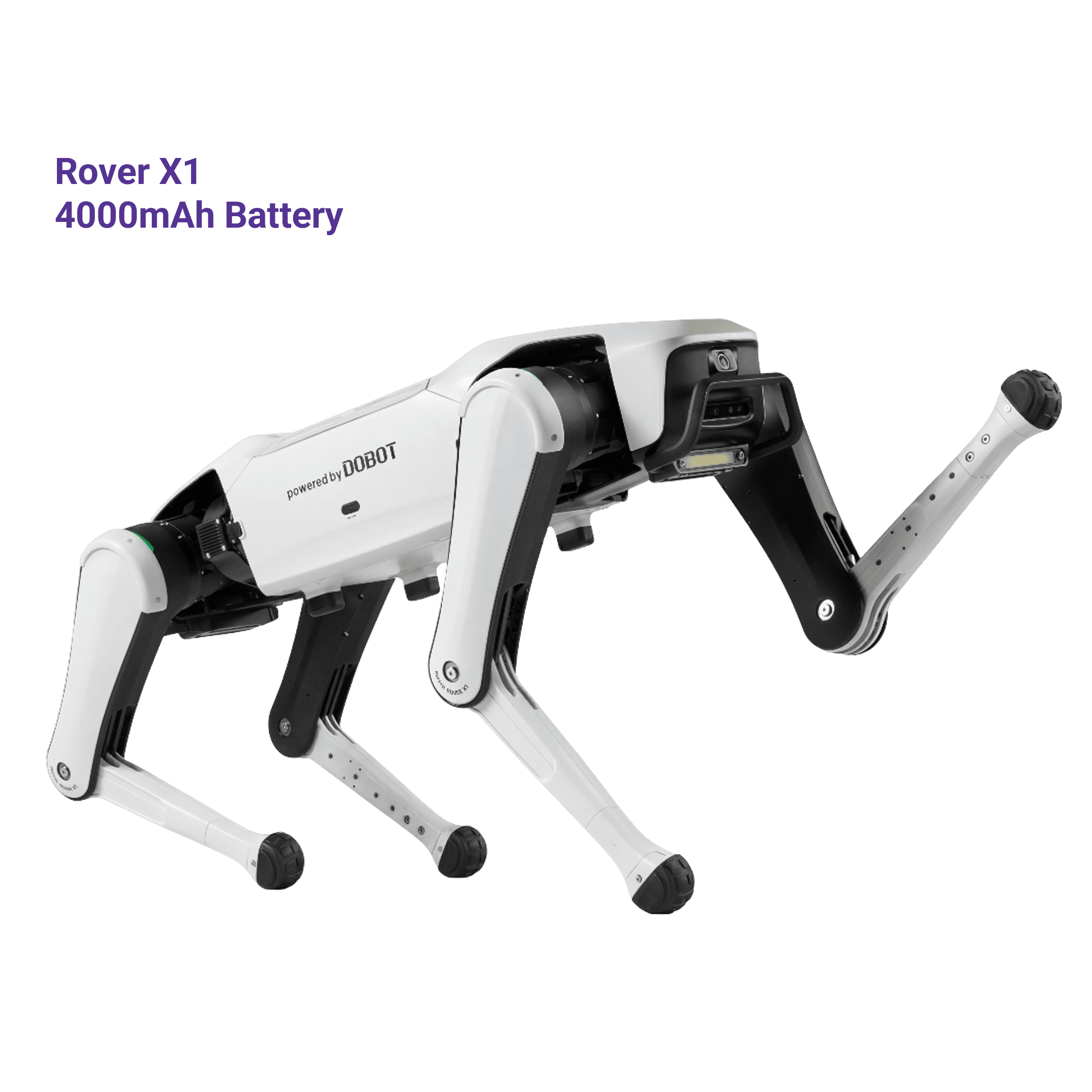 Dobot Rover X1 Series | Robot Dog